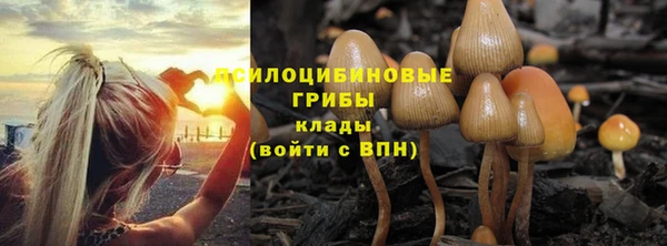дмт Весьегонск