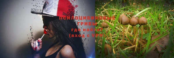 шишки Видное